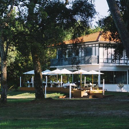 Villa De L'Etang Blanc سانيوس المظهر الخارجي الصورة