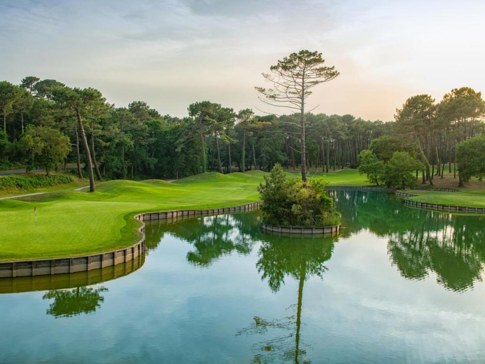 Villa De L'Etang Blanc سانيوس المظهر الخارجي الصورة