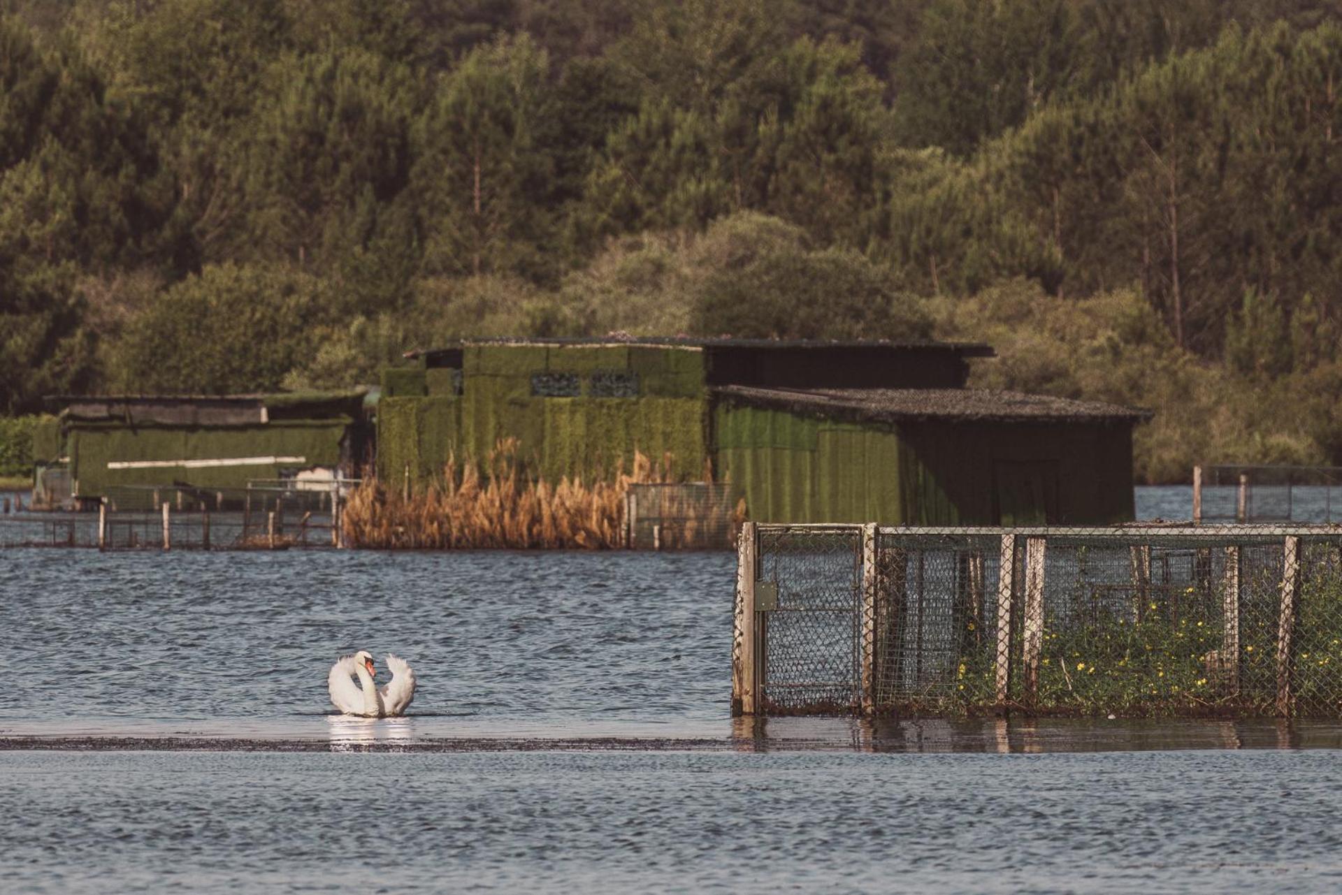 Villa De L'Etang Blanc سانيوس المظهر الخارجي الصورة