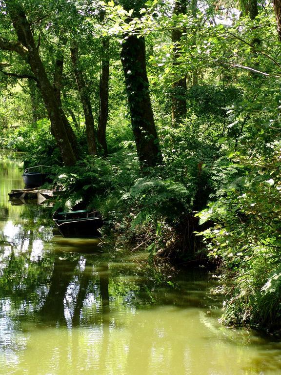 Villa De L'Etang Blanc سانيوس المظهر الخارجي الصورة